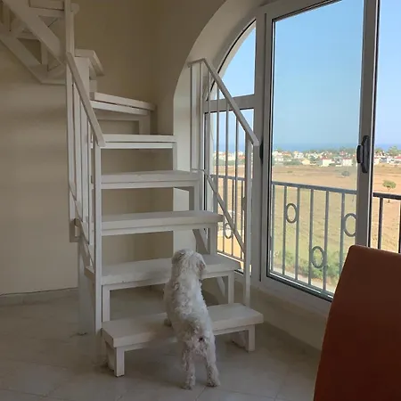 Apartment Penthouse Wohnung-